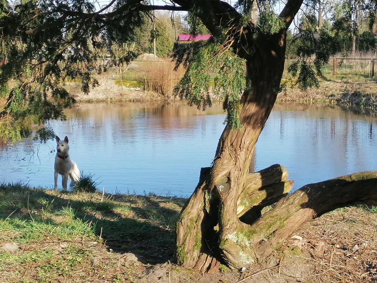 Palac Paprotno Karnice Exteriér fotografie